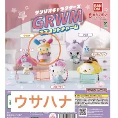 ウサハナ【GRWM】