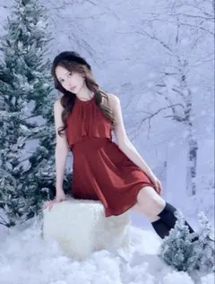 赤いシフォンハイネックドレス