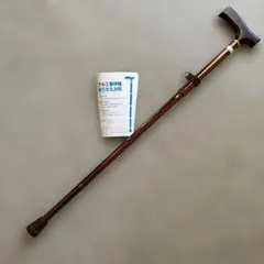 Item thumbnail for item 53a6a581-6618-44c3-a94a-946fc5f42ecf