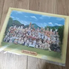 Sylvanian Families クリアファイルセット