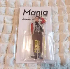 Snow Man 岩本照 アクスタ