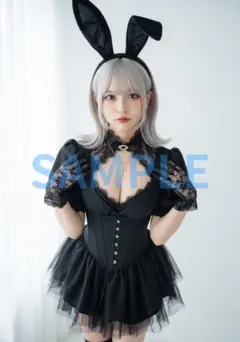 L1532　AI美女 A4ポスター コスプレ　水着　グラビア ランジェリー