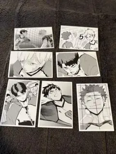 ハイキュー！！10th クロニクル 思い出スナップフォトカード 白鳥沢高校セット