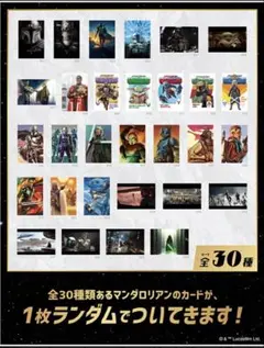 スターウォーズ マンダロリアン カード 全30種類未開封100枚 スターウォーズ マンダロリアン チップスカード 全30種類未開封100枚