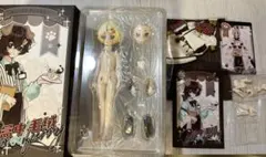BOXED FURRY 箱入りファーリー リトルシェフ