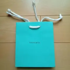 Tiffany & Co. ティファニー 紙袋 20×25cm ショッパー - メルカリ