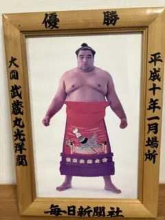 カルビー 大相撲カード 73年 魁傑 - メルカリ