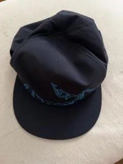 アークテリクス arc'teryx カリダム5パネルキャップ jjj - メルカリ