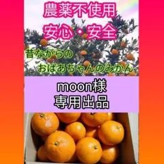 moon様専用出品