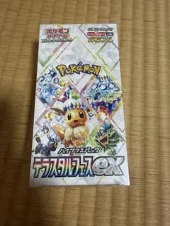 2026年最新】テラスタルフェスex BOX 未開封の人気アイテム - メルカリ