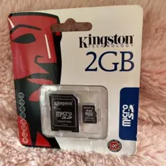 Kingston 2GB micro SDガード