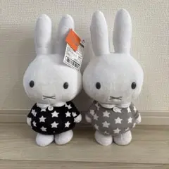 Item thumbnail for item fb8a33f4-c667-4c73-9f35-c9397cebab20