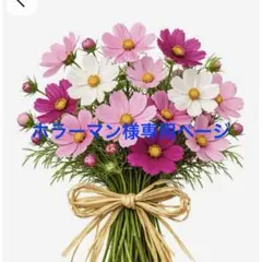 ホラーマン様専用ページ