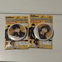 ハイキュー!!缶バッジコレクション