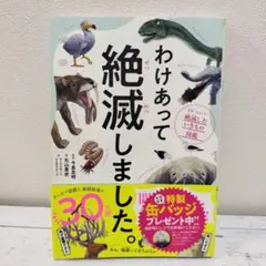 shishimaru様 リクエスト 2点 まとめ商品