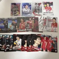 山内晶大　Vコレ リアルカード　トレカ