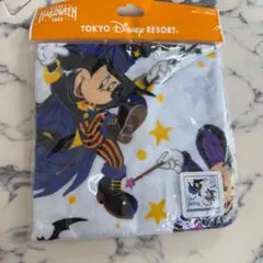 Item thumbnail for item 7777bb66-66ed-49fa-9849-13119d2ddc8a