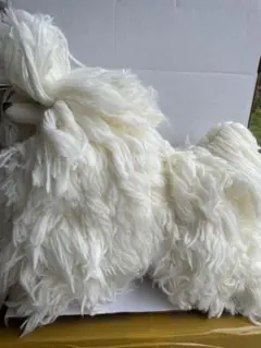 新品】レッスンドッグ PUPPY 107-ST - メルカリ