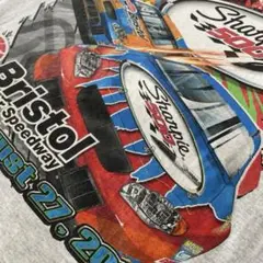 NASCAR Tシャツ　フルーツボディ　Lサイズ