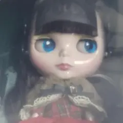 2026年最新】ネオブライス レッドデリシャスの人気アイテム - メルカリ