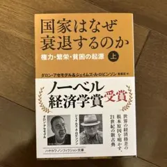 国家はなぜ衰退するのか 上 権力・繁栄・貧困の起源