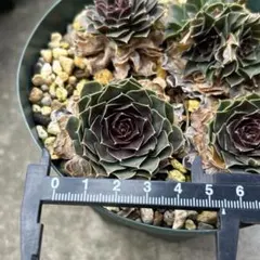 ガレージM様 リクエスト 4点 まとめ商品