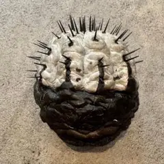 羅本製所 Copiapoa Twin Star 抽選限定品 新品未開封 - メルカリ