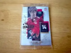 【商品説明確認後即購入可】バレーボール 男子日本代表ツインウエハース 石川祐希