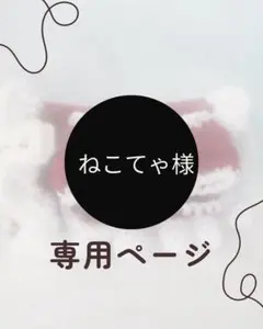 ねこてゃ様専用ページ