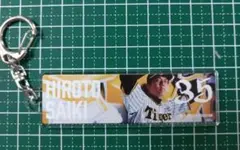 Item thumbnail for item 8b976e71-c588-40ae-995e-44f9c7e8143d