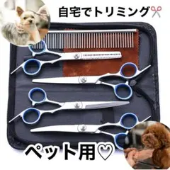 Item thumbnail for item 785ae10d-830c-42c2-a96e-60453148cb89