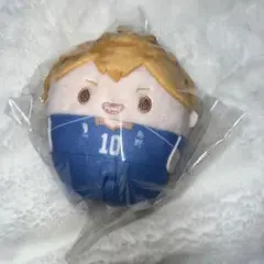 ハイキュー!! くじメイト ぬいくじ ふわコロりん D賞 日向翔陽