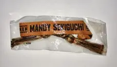 関口メンディー ジャガードミサンガ