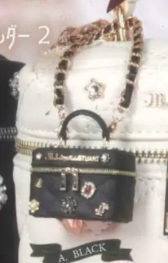 JILL by JILL STUART ミニブローチバニティ2　ガチャガチャ　黒