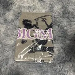 Item thumbnail for item eec29d67-8e42-4cb2-8bcf-9c9aa9765cf3