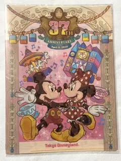 東京ディズニーランド 37周年 ダブルポケットホルダー②