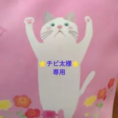 天然石チャームセット 12種 25個