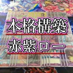 本格構築 【赤紫ロー】デッキ メイン＆ドン＆二重スリーブ