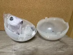 Item thumbnail for item 15474f55-53cb-4bee-b423-bd1385fcf4fd