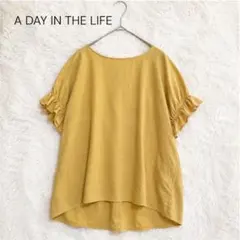 【期間限定】A DAY IN THE LIFE 半袖ブラウス イエロー フレアのサムネイル