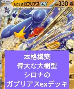 D*O様 本格構築　シロナのガブリアスexデッキ