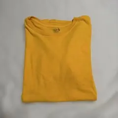 FRUIT OF THE LOOM Tシャツ M オレンジ フルーツオブザルーム