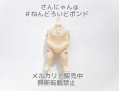 【パーツ/全裸ボディ】ねんどろいど 雷電 MGS2 Ver. メタルギアソリッド
