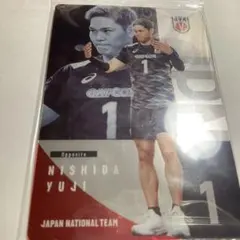 バレーボール日本代表 トレカ 西田 山内 西本セット