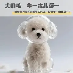 도그 헤어 키 홀더 펫 메모리얼 헤어 스토리지 클리어 도그 브리드 필링 케이스