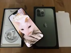 Item thumbnail for item 5ffc3e2d-179d-4cd7-8c72-3c5582757c33