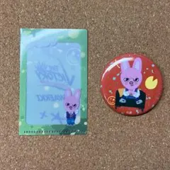 straykids スキズ チャンビン 缶バッジ 入店特典 SKZOO