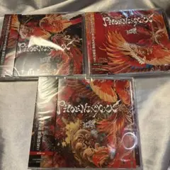 Royz 「PHOENIXXXX-フェニックス-」 3形態+公大さんチェキセット