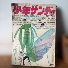 週刊少年サンデー 昭和15年5月17日号 昭和レトロ 漫画雑誌