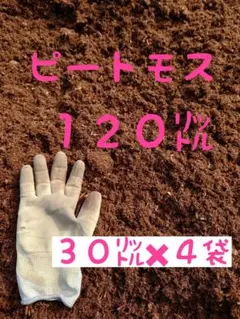 宮古島産】タイナス（マクアポ）20kg 産地直送・新鮮野菜・常温発送